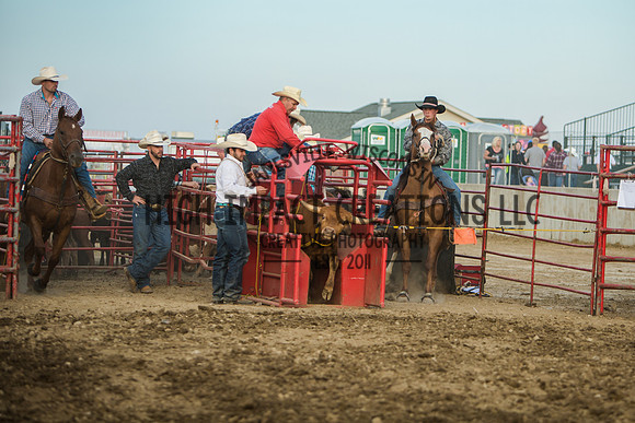 Big Hat Rodeo | Grayslake Rodeo | Lake County Fair