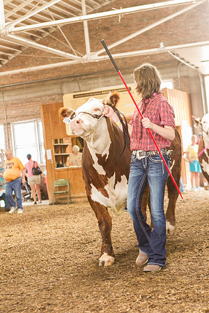 Photograph of Rock County 4-H Fair Taken 7-26-12
