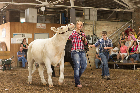 Photograph of Rock County 4-H Fair Taken 7-26-12
