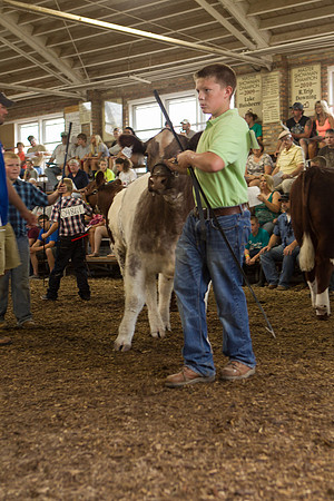 Photograph of Rock County 4-H Fair Taken 7-26-12