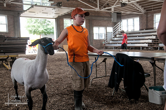 Janesville Photographers Rock County 4-H Fair Photographs