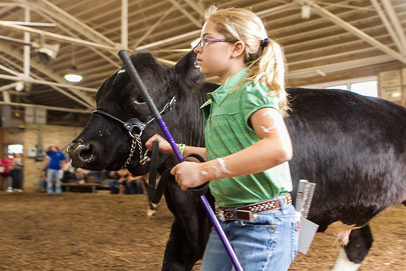 Photograph of Rock County 4-H Fair Taken 7-26-12