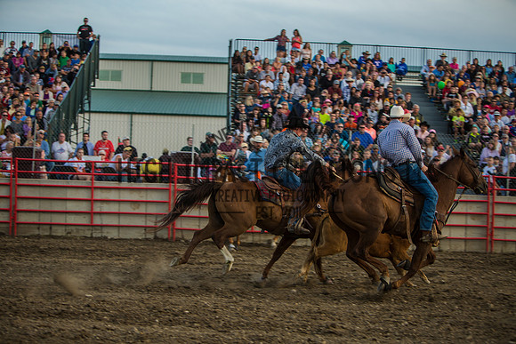 Big Hat Rodeo | Grayslake Rodeo | Lake County Fair