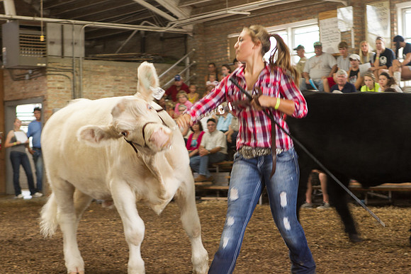 Photograph of Rock County 4-H Fair Taken 7-26-12