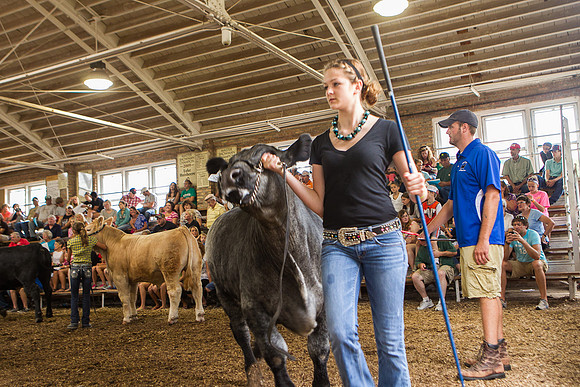 Photograph of Rock County 4-H Fair Taken 7-26-12