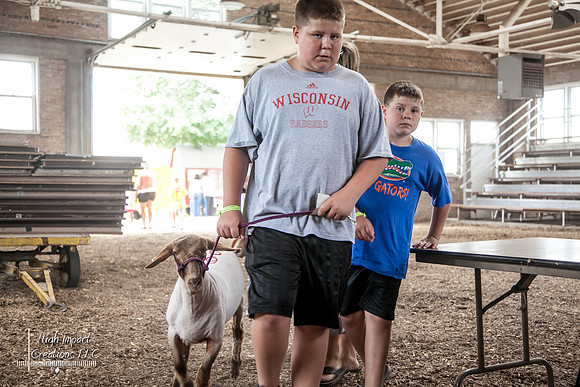 Janesville Photographers Rock County 4-H Fair Photographs