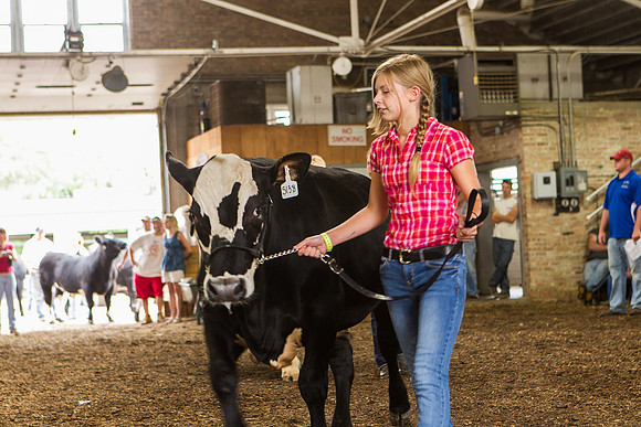 Photograph of Rock County 4-H Fair Taken 7-26-12