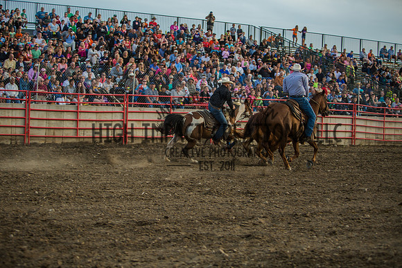 Big Hat Rodeo | Grayslake Rodeo | Lake County Fair