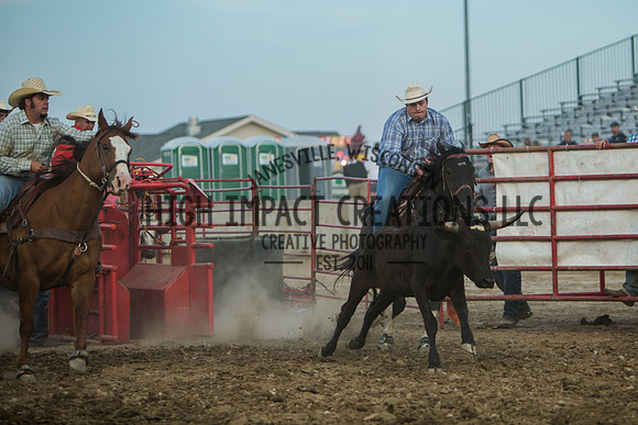 Big Hat Rodeo | Grayslake Rodeo | Lake County Fair