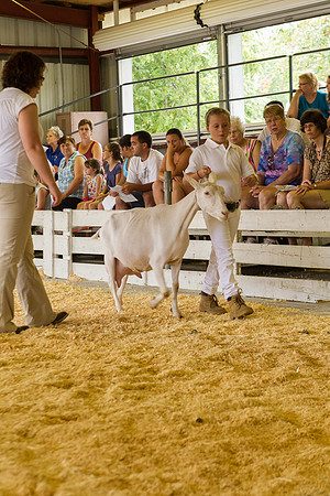 Photograph of Rock County 4-H Fair Taken 7-26-12