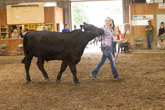 Photograph of Rock County 4-H Fair Taken 7-26-12