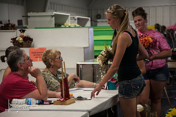 Janesville Photographers Rock County 4-H Fair Photographs