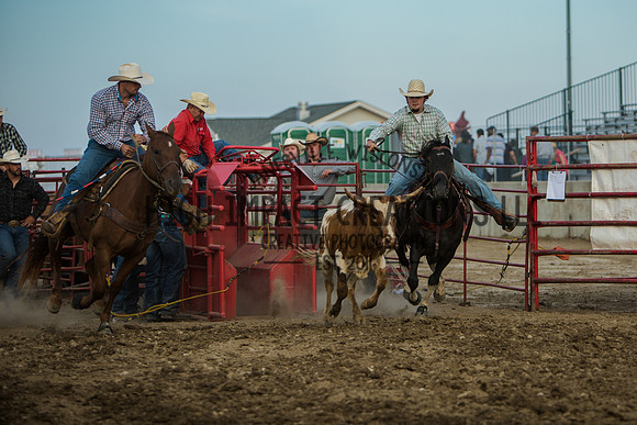 Big Hat Rodeo | Grayslake Rodeo | Lake County Fair