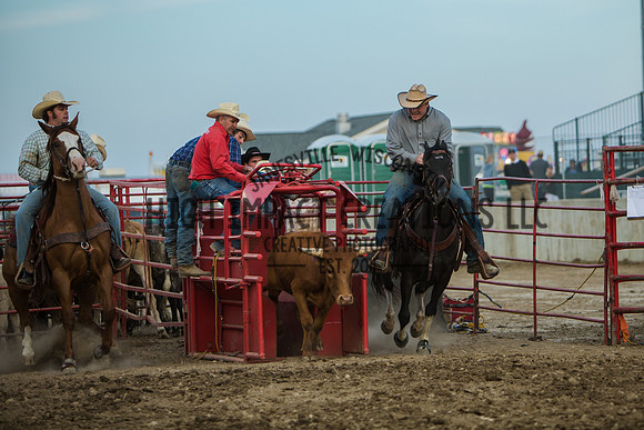 Big Hat Rodeo | Grayslake Rodeo | Lake County Fair