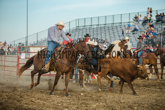 Big Hat Rodeo | Grayslake Rodeo | Lake County Fair