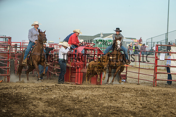 Big Hat Rodeo | Grayslake Rodeo | Lake County Fair