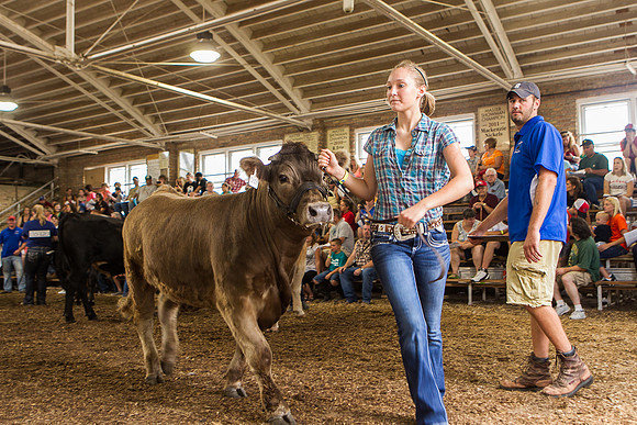 Photograph of Rock County 4-H Fair Taken 7-26-12