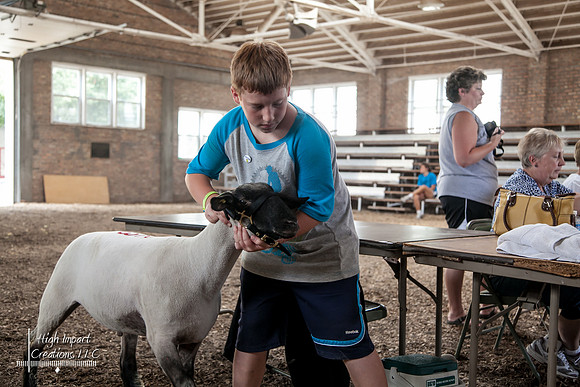 Janesville Photographers Rock County 4-H Fair Photographs