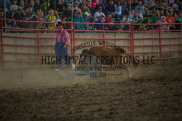 Big Hat Rodeo | Grayslake Rodeo | Lake County Fair
