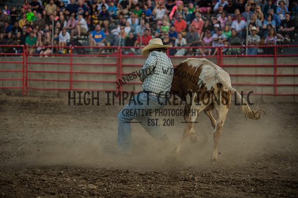 Big Hat Rodeo | Grayslake Rodeo | Lake County Fair