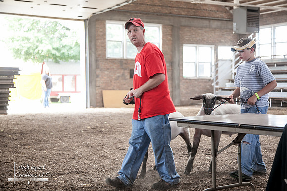 Janesville Photographers Rock County 4-H Fair Photographs