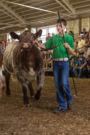 Photograph of Rock County 4-H Fair Taken 7-26-12