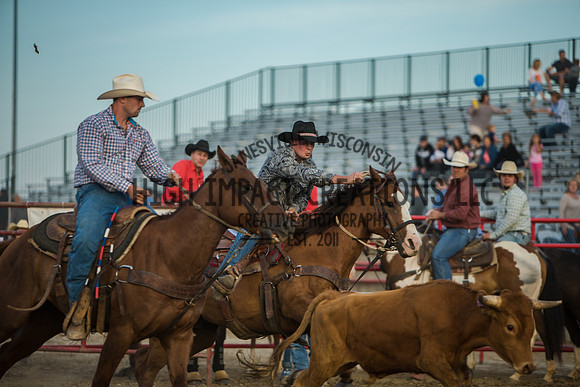 Big Hat Rodeo | Grayslake Rodeo | Lake County Fair