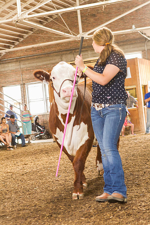 Photograph of Rock County 4-H Fair Taken 7-26-12