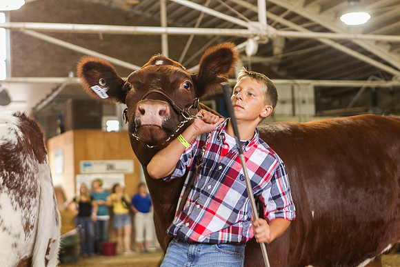 Photograph of Rock County 4-H Fair Taken 7-26-12