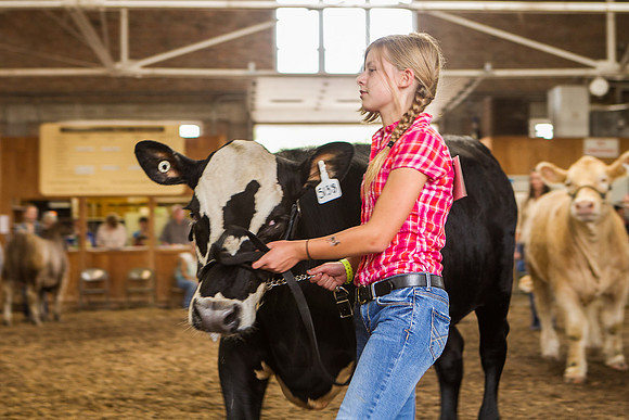 Photograph of Rock County 4-H Fair Taken 7-26-12