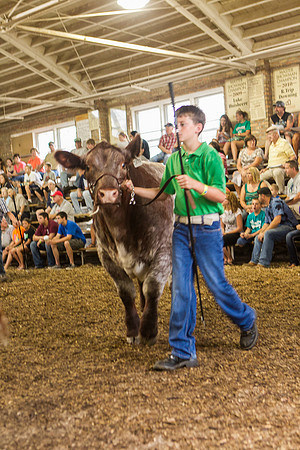 Photograph of Rock County 4-H Fair Taken 7-26-12