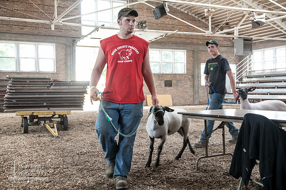Janesville Photographers Rock County 4-H Fair Photographs