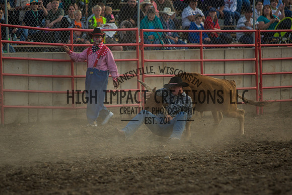 Big Hat Rodeo | Grayslake Rodeo | Lake County Fair