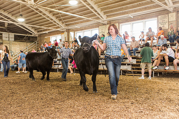 Photograph of Rock County 4-H Fair Taken 7-26-12