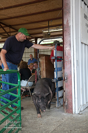 Janesville Photographers Rock County 4-H Fair Photographs
