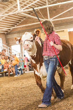 Photograph of Rock County 4-H Fair Taken 7-26-12