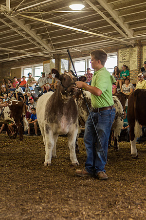 Photograph of Rock County 4-H Fair Taken 7-26-12