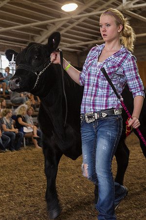 Photograph of Rock County 4-H Fair Taken 7-26-12