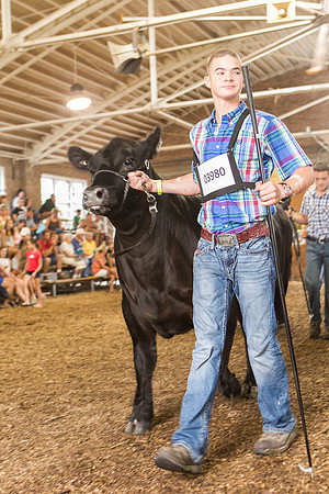 Photograph of Rock County 4-H Fair Taken 7-26-12