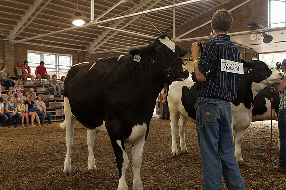 Photograph of Rock County 4-H Fair Taken 7-26-12