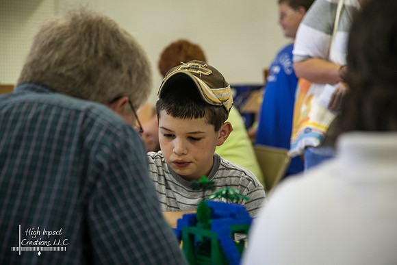 Janesville Photographers Rock County 4-H Fair Photographs