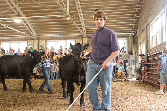 Photograph of Rock County 4-H Fair Taken 7-26-12