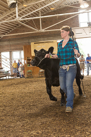 Photograph of Rock County 4-H Fair Taken 7-26-12