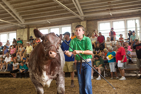 Photograph of Rock County 4-H Fair Taken 7-26-12