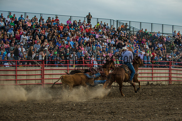 Big Hat Rodeo | Grayslake Rodeo | Lake County Fair