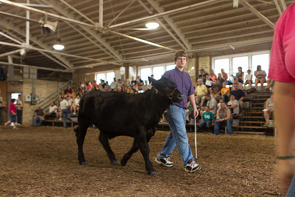 Photograph of Rock County 4-H Fair Taken 7-26-12