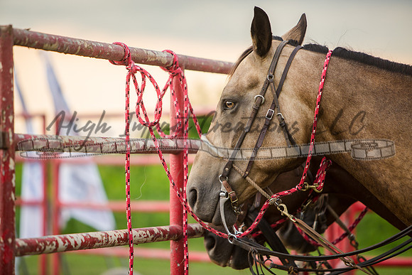 Tri-County Rodeo | Big Hat Rodeo