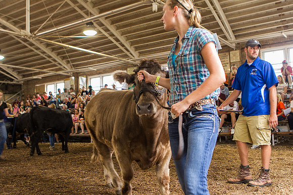 Photograph of Rock County 4-H Fair Taken 7-26-12