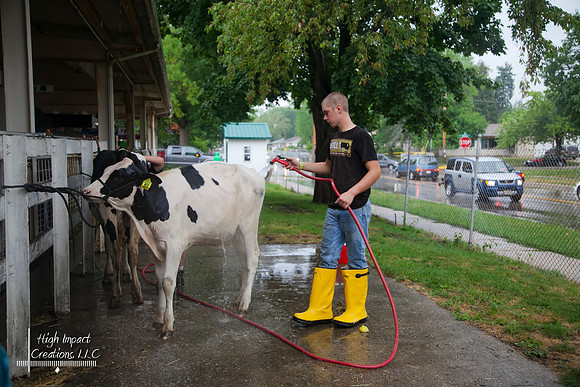 Janesville Photographers Rock County 4-H Fair Photographs