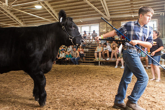Photograph of Rock County 4-H Fair Taken 7-26-12